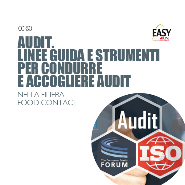 AUDIT